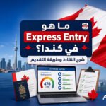 شرح النقاط وطريقة التقديم