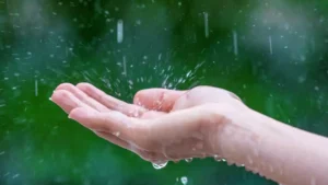 أمطار غزيرة ورياح قوية تضرب نوفا سكوشا ونيوبرونزويك الأحد