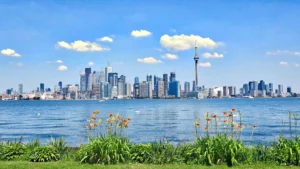 Health Canada يسحب لعبة بطاقات تعليمية للأطفال بسبب الرصاص والفثالات