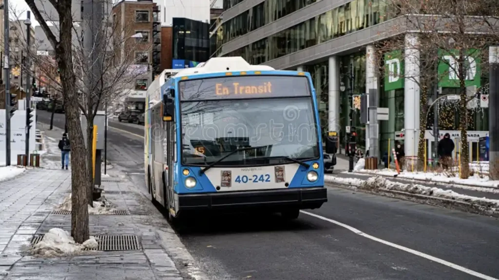 دليل استخدام STM في مونتريال