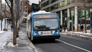 دليل استخدام STM في مونتريال