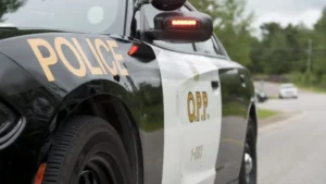 5 مراهقين يواجهون اتهامات بعد تحقيق بمركبة مسروقة قرب Guelph