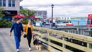العرب في Halifax