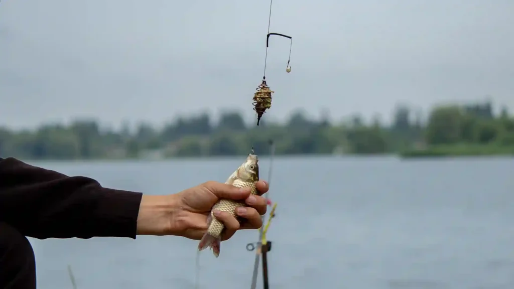 الصيد مجانًا في Ontario من 27 يونيو إلى 5 يوليو بدون رخصة