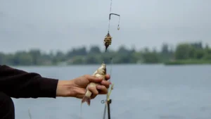 الصيد مجانًا في Ontario من 27 يونيو إلى 5 يوليو بدون رخصة