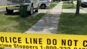 Toronto Police تحقق في إطلاق نار بـEtobicoke بعد إصابة كلبين داخل منزل