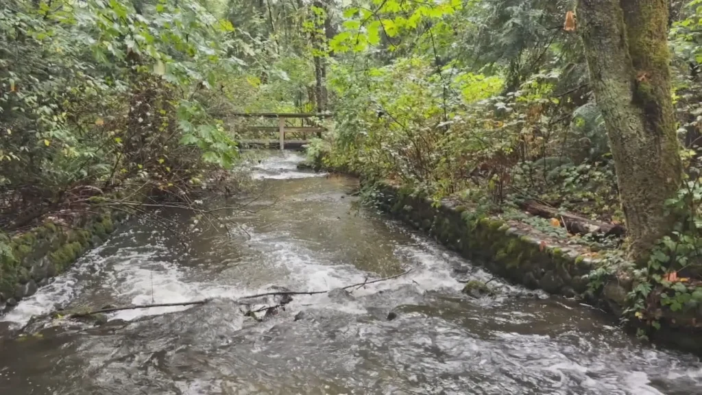 Hoy Creek