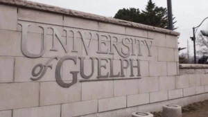 جامعة