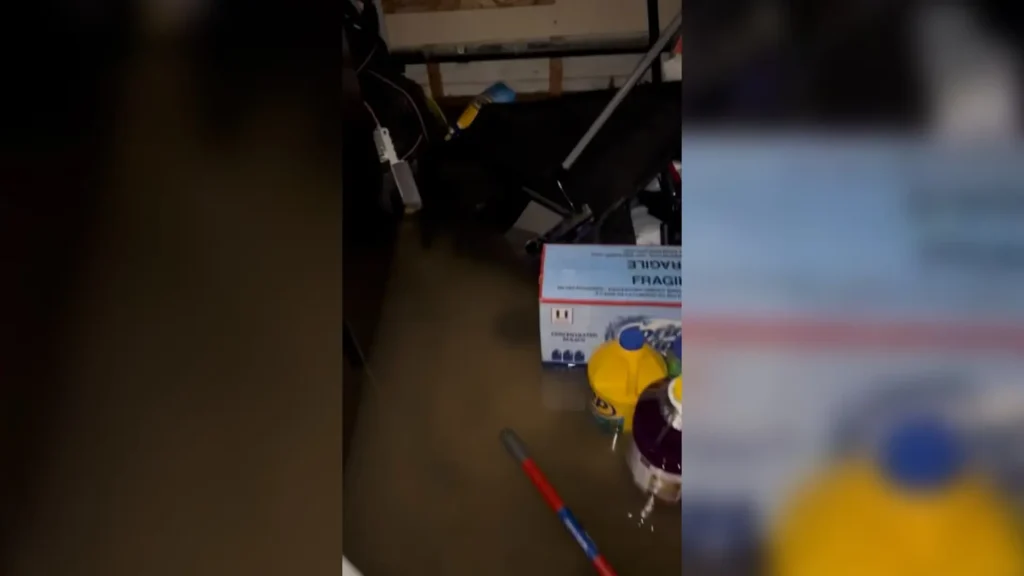 ساوث ريفرديل