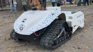 BeBot