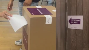 التصويت المبكر
