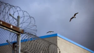 المتحدة