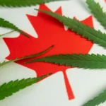 وصول CBD