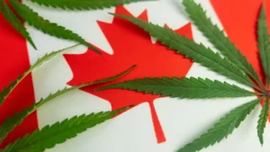 وصول CBD