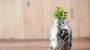 نبتة خضراء تنمو من جرة عملات معدنية ترمز إلى الاستثمار الحلال في كندا